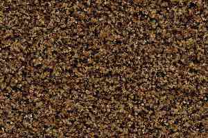 Грязезащитные покрытия Forbo Coral Brush 5716 Masala Brown фото  | FLOORDEALER